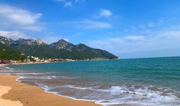 青岛海边爆料最新消息,惊现神秘海生物引发热议